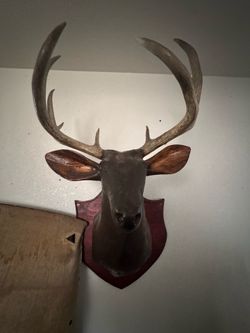 Wooden deer head