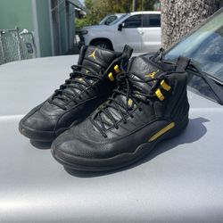 Jordan 12 (Size 11.5) Taking offers