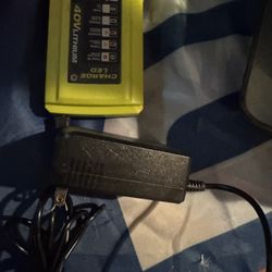 Ryobi Charger 