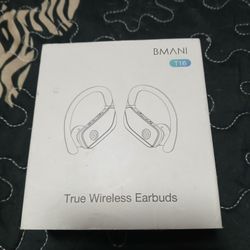 True Wireless Earbuds