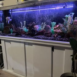 Negotiable the Complete Set Deal! 60 Aquarium Acrylic And Heavy Duty Aquarium Stand