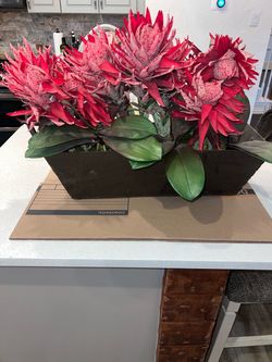 Dark Planter Box- Large Rustic Iron