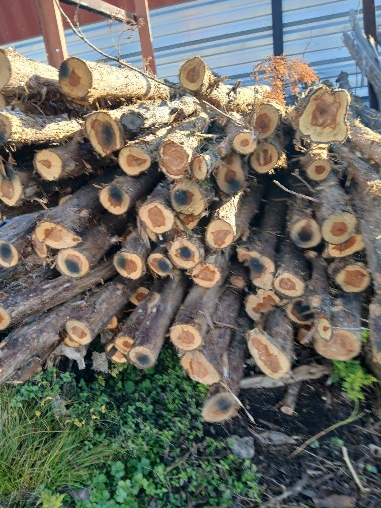 Cedar FENCE Post Andmore