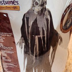 Halloween Costume Adult