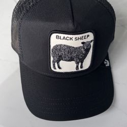 Goorin Bros Snapback Hat 🧢