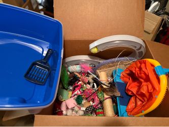 Cat starter kit. Dozens of toys, litter box, hideaway