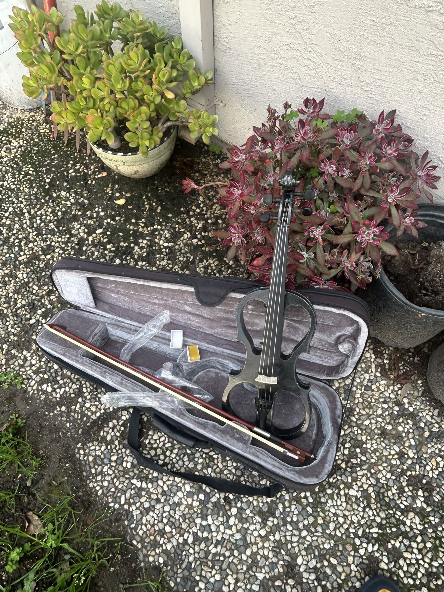 Electric Violin 🎻 4/4. Full Size