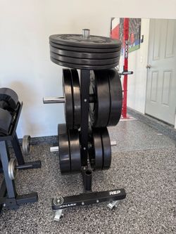 Rogue HG 2.0 Bumper Plates