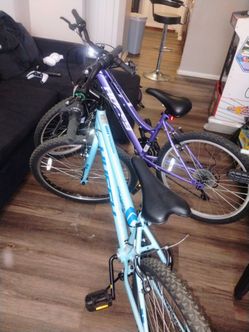 New mountain bike