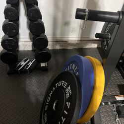 I sell all gym equipment and accessories, even the mats downstairs.