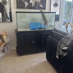 Aquarium With Stand Cabinet Including Accessories 