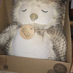 Little Toastie Owl