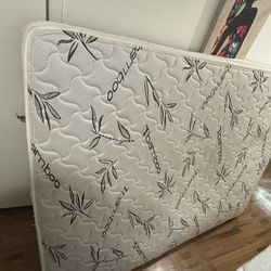 Queen Size Mattress (Free) (Pick-Up Only)