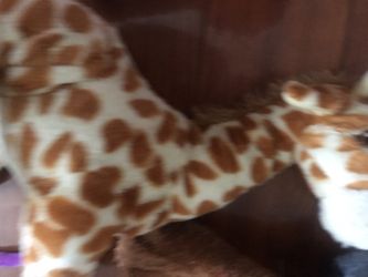 Stuffed Giraffe