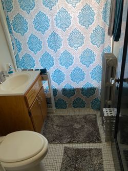 Shower curtain