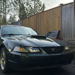 2001 Mustang