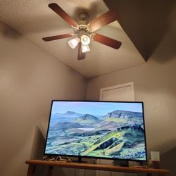 65 Inch Element 4k Tv With Two Remotes
