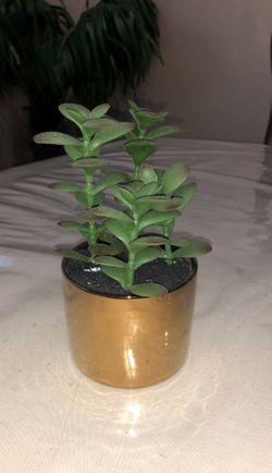 Green artificial plant