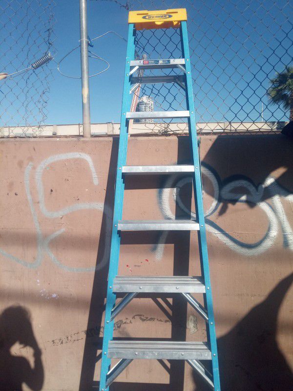 12ft Werner Step Ladder