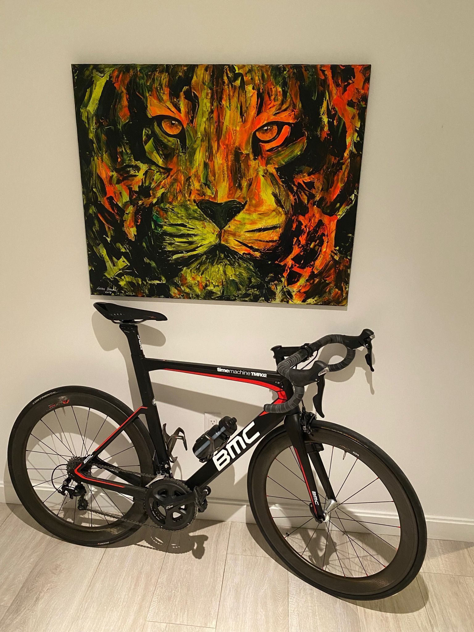 BMC Timemachine TMR02 2017 + Garmin edge 830