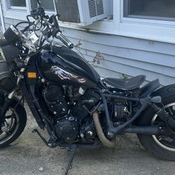 Needs A Good Home And Someone To Nurse Her Back To Life