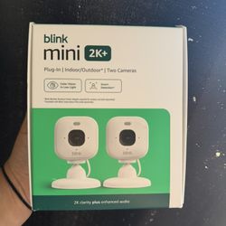Blink Mini Cameras 2pk