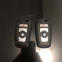 Bmw comfort access keys
