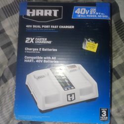 Heart Dual Charger .New