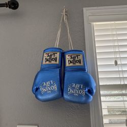 No Boxing No Life Gloves 