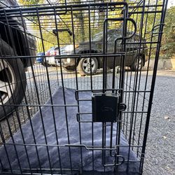 Medium  ( Perfect Condición ) 