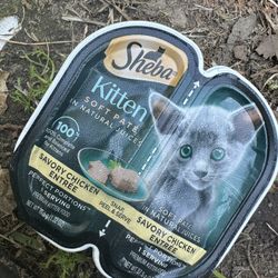 Cat Food 