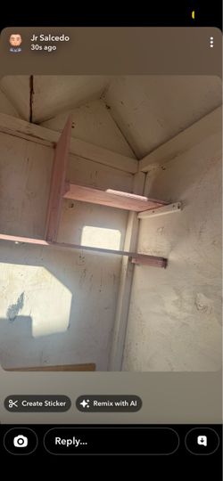 Dog house