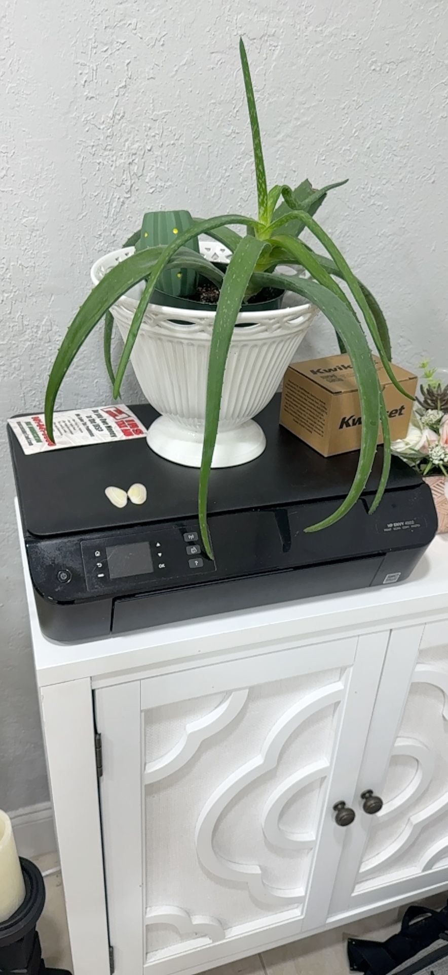 HP Envy Color B&W Printer