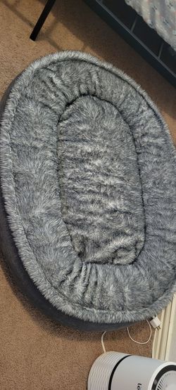 Big dog bed