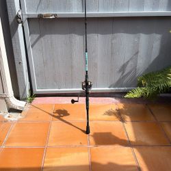 Fishing Rod And Reel 