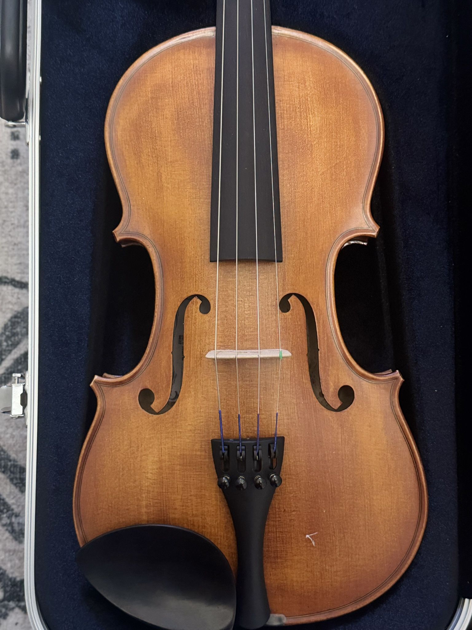Roth Scherl & Roth Viola with Case and Bow