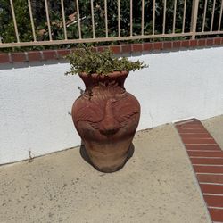 Flower Pots 