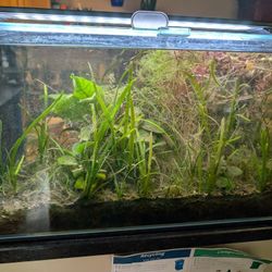 Lifegard Aquatics 14.26 Gallon Ultra Crystal Clear Aquarium w/ Side Filter