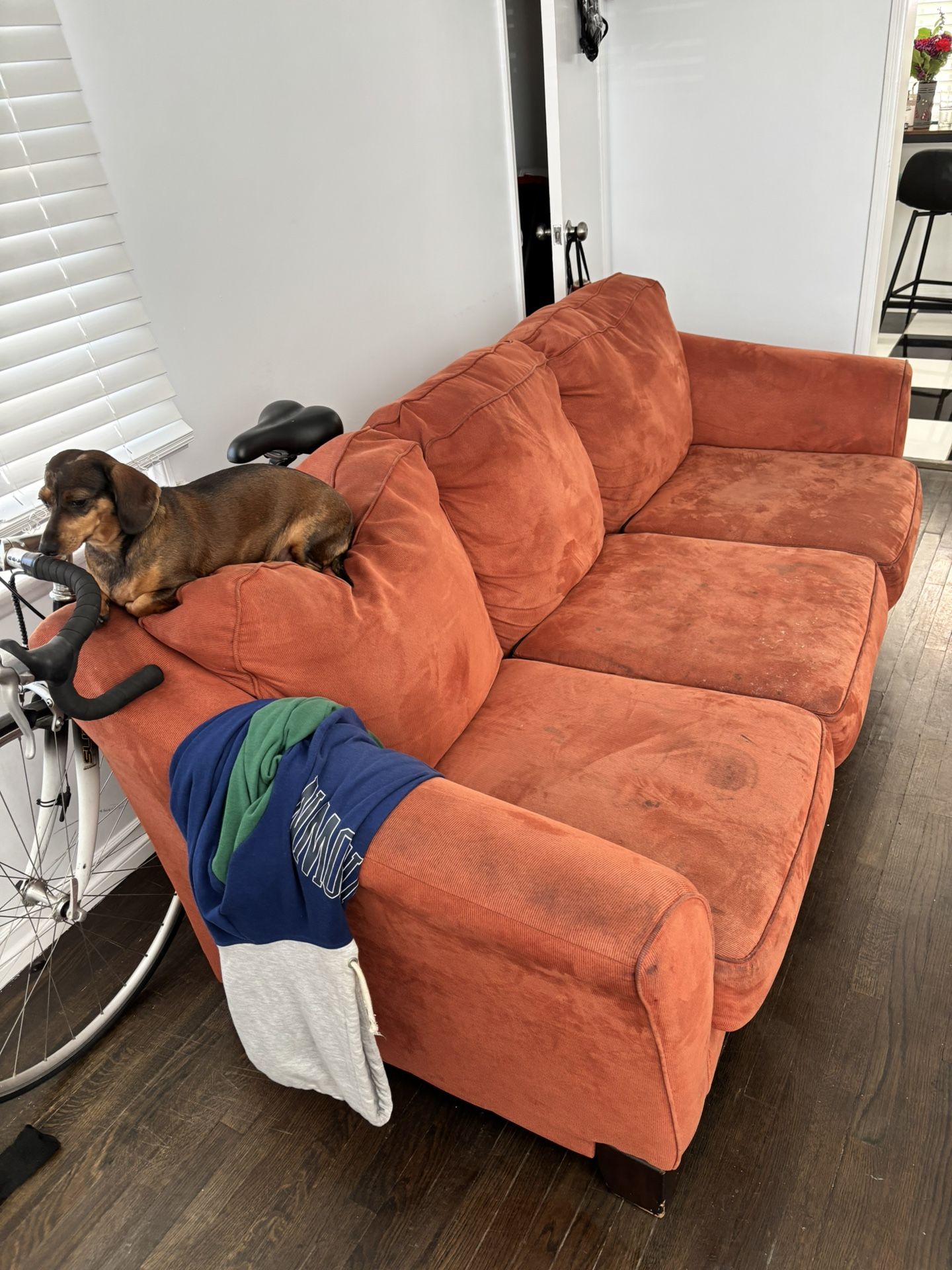 FREE COUCH