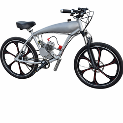 Gas bike not a e-bike motorized bicycle new delivery available