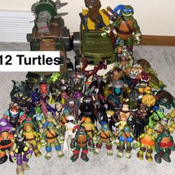 Ninja Turtle Collection