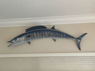 Real Fish Taxidermy Mounts – Wahoo and African Pompano