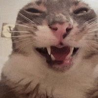 I Buy Your Gold Jewelry 