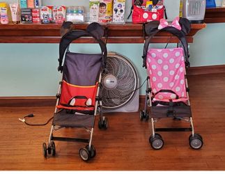 Compact Travel Stroller Disneyland Mickey Themed