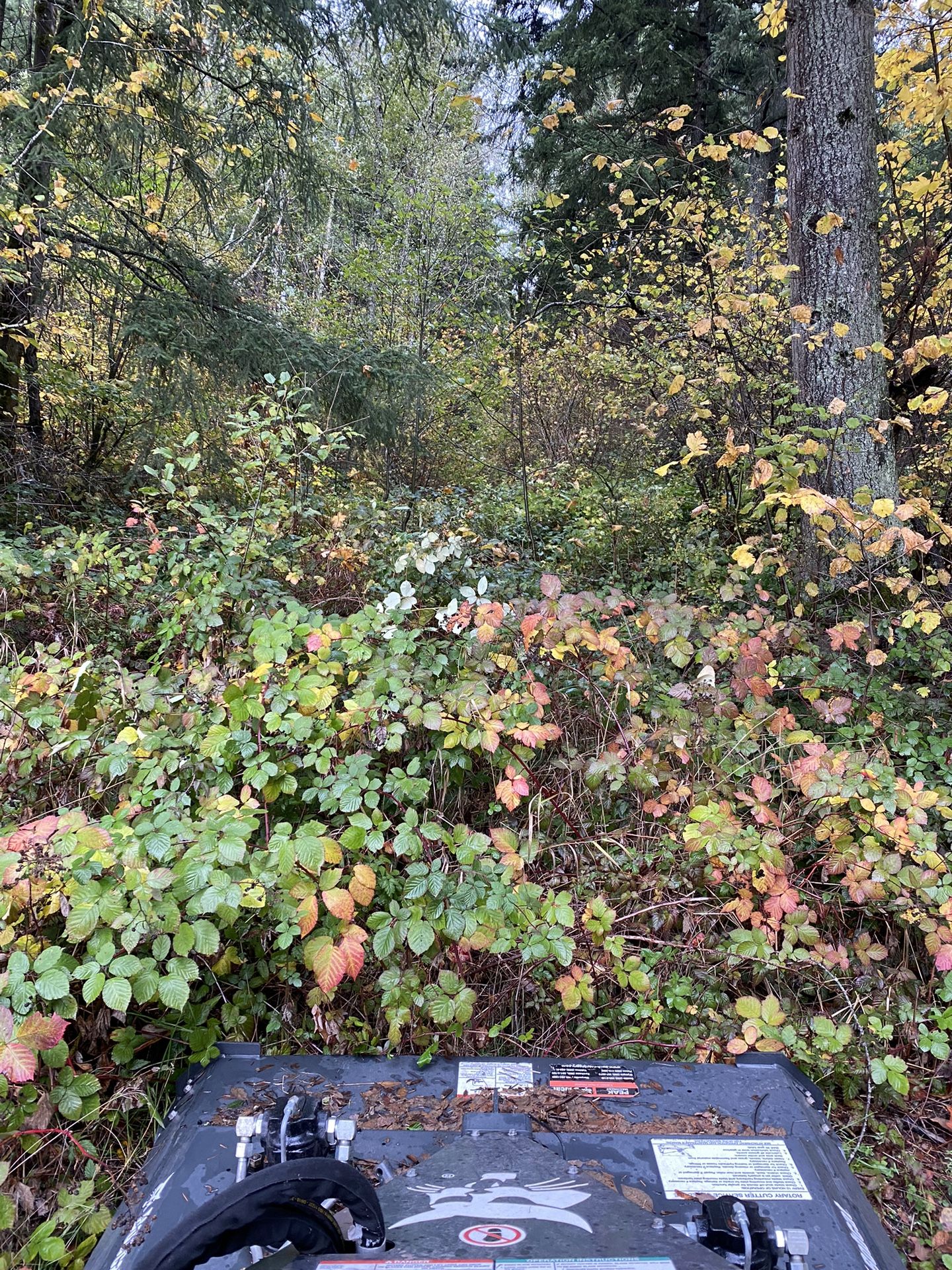 Brush Mower For Sale
