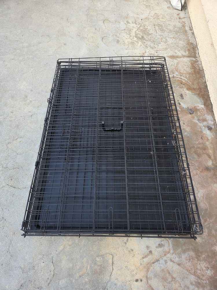 Large Dog Kennel