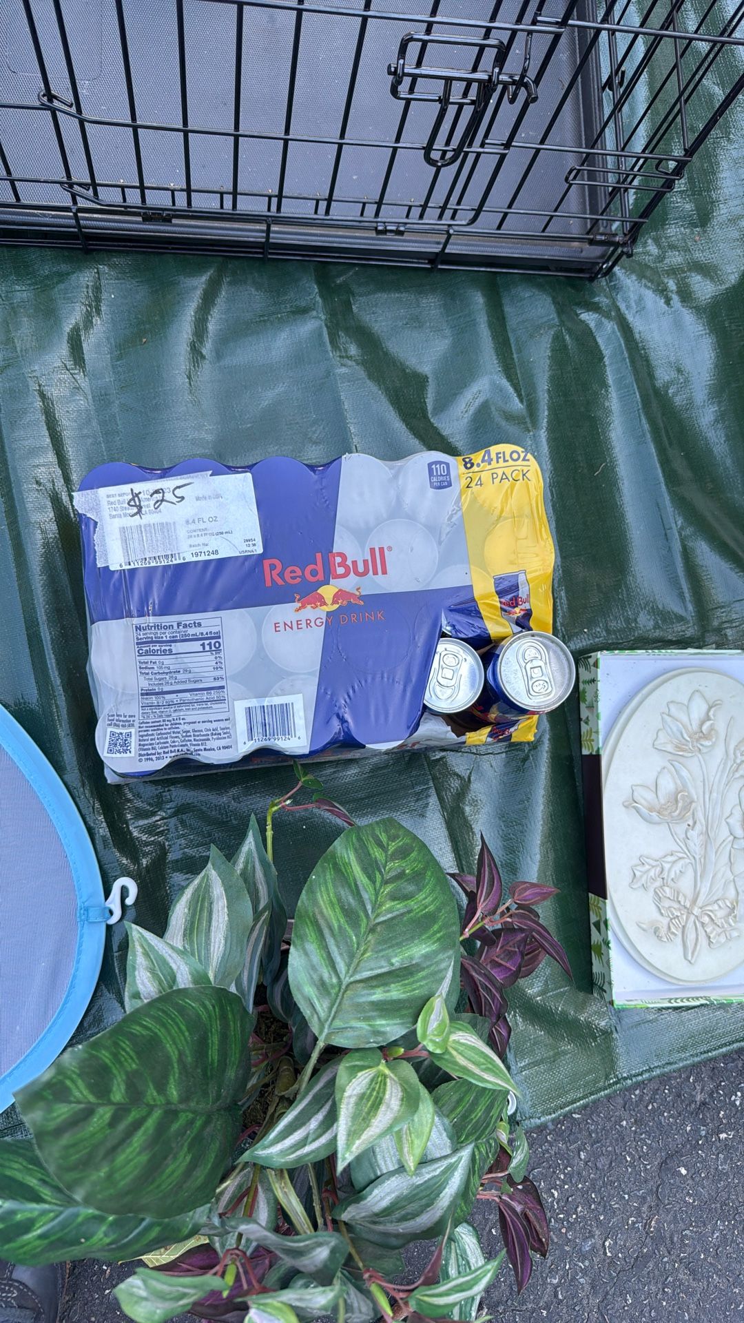 Red Bull 