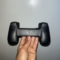 Back Bone