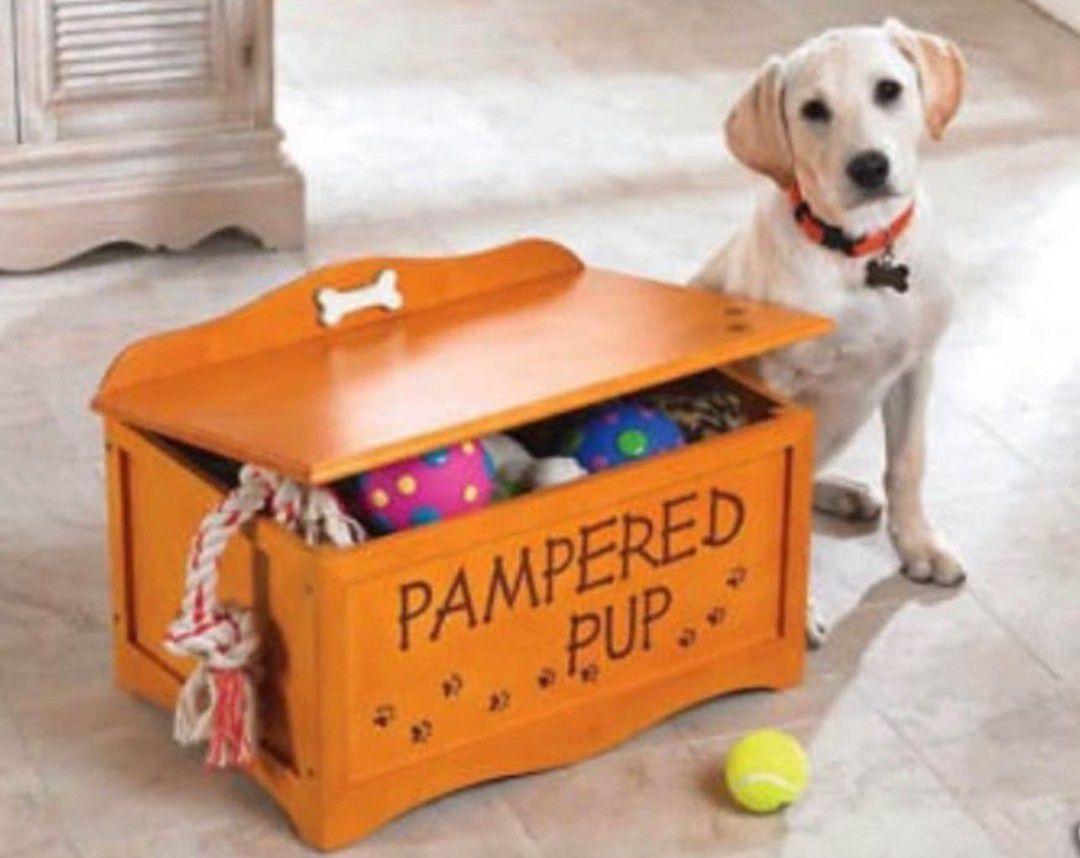 20"W x 13.5"D x 10.5"T "Pampered Pup" Wooden Toy Accessories Puppy Lifted Lidded Storage Box