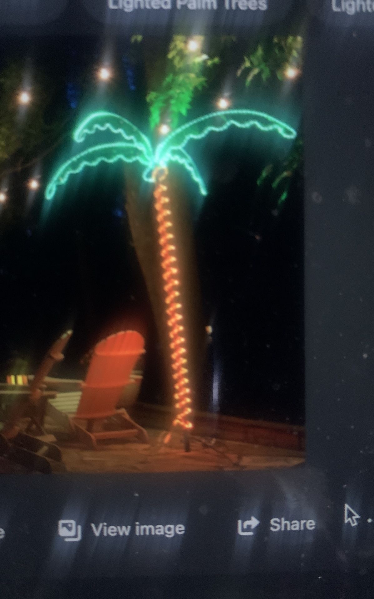 Rope Light Palm Tree